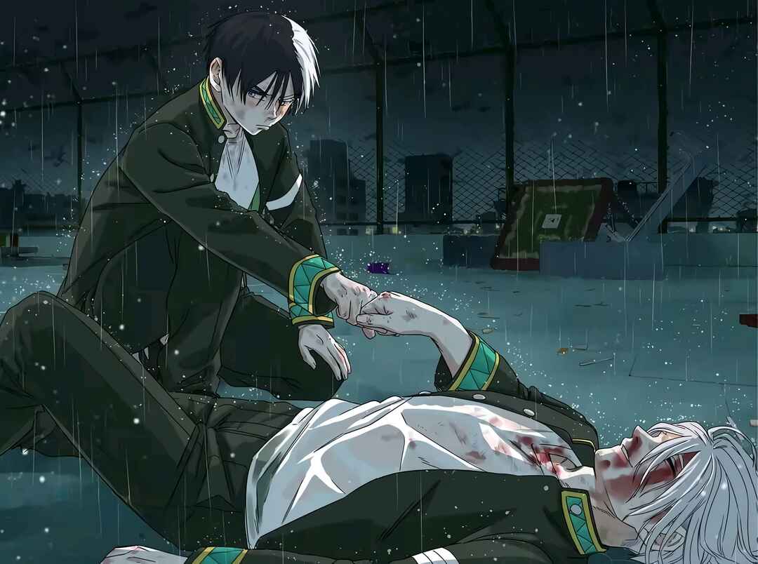 Read Wind Breaker Manga Português Manga Online